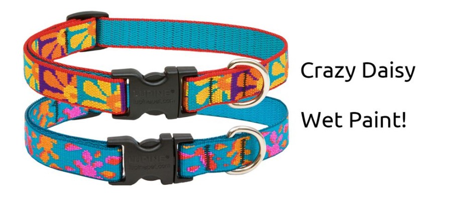 Collars, Leads & Accessories Lupine | Lupinepet® 3/4" Originals Collection