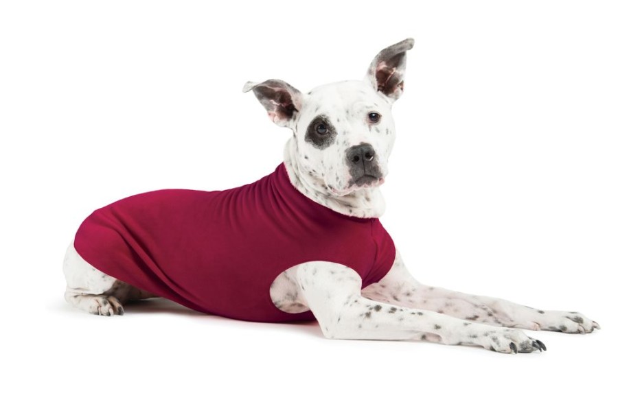 Pet Apparel Gold Paw Series | Discontinued Stretch Fleece - On Sale!