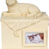 Special Occasion & Holiday AngelStar | Beloved Companion Cat Urn