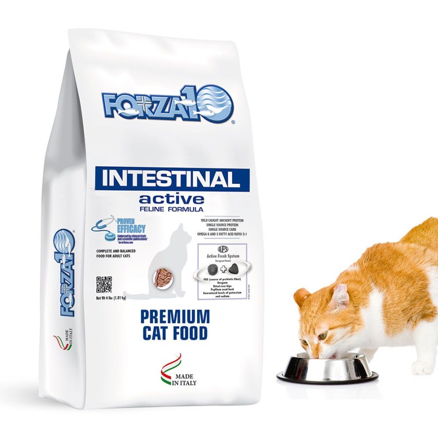 For Cats & Other Critters Forza10 | Active Cat Intestinal Support Diet Dry Cat Food