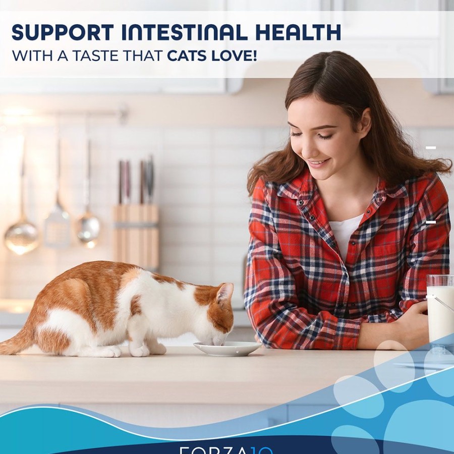 For Cats & Other Critters Forza10 | Active Cat Intestinal Support Diet Dry Cat Food