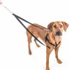 Training 2 Hounds Design | 1" Patented Freedom No-Pull Harness Deluxe Training Package (35-200 Lbs)