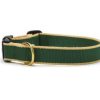 Collars, Leads & Accessories Up Country™ | Forest And Tan - Color Market Collection Collars & Leads