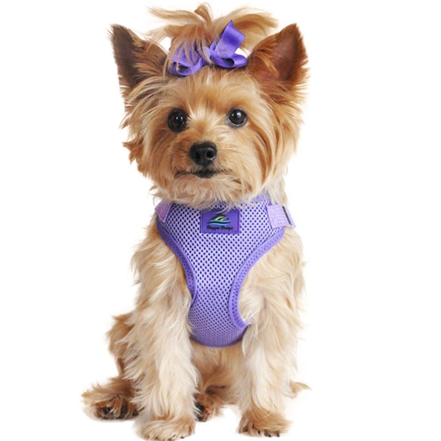 Harnesses Doggie Design, Inc. | Solid Color Mesh Wrap And Snap Choke Free Step In Harness - Paisley Purple