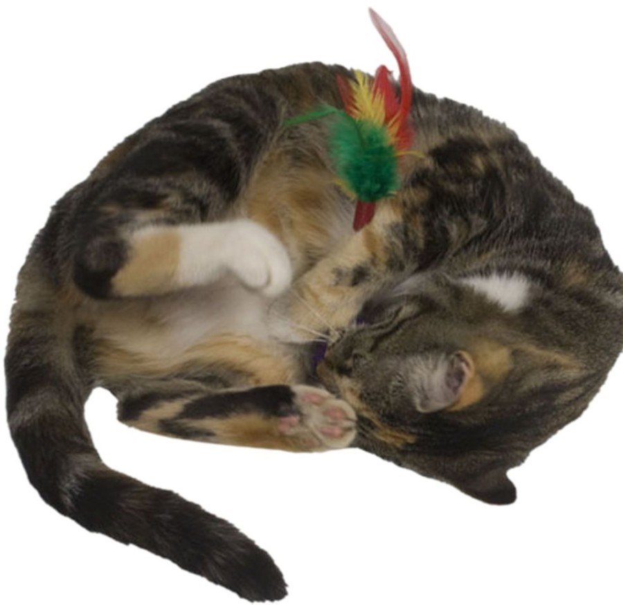 For Cats & Other Critters Imperial Cat | Wild Wobbler Toy