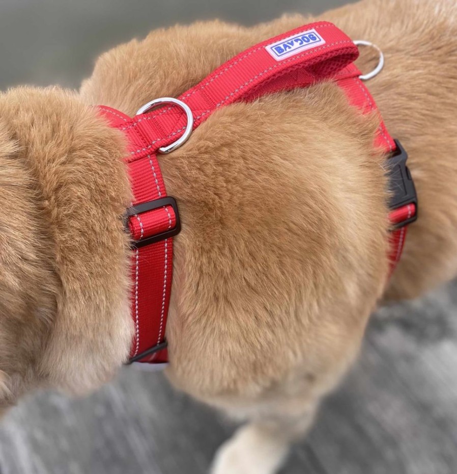 Harnesses BAYDOG | Chesapeake Bay Harness