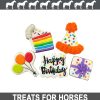 For Cats & Other Critters Snaks 5th Avenchew | Birthday Confetti Pack - Gourmet Horse Treats By Snaks 5Th Avenchew