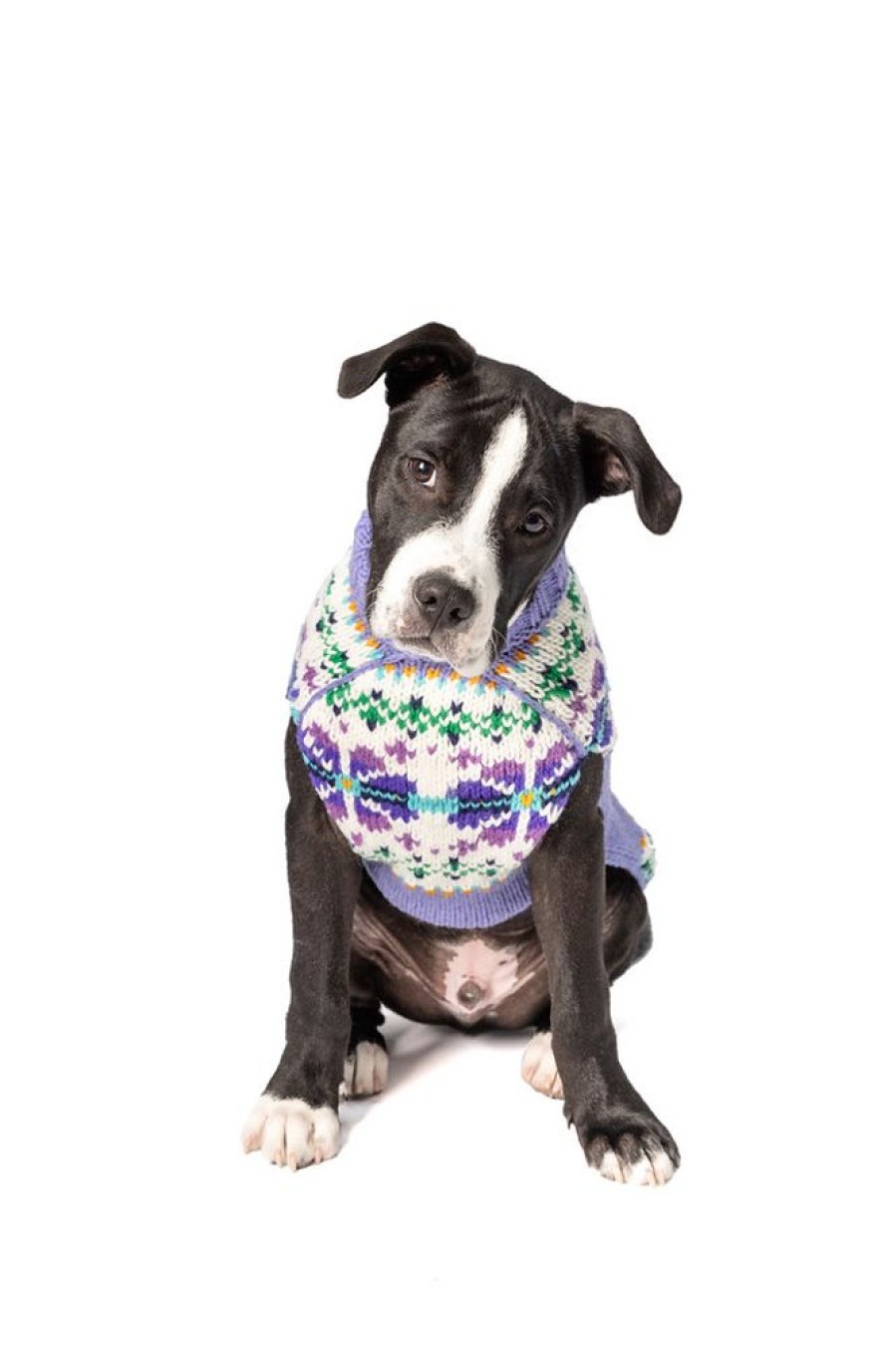 Pet Apparel (Continued) Chilly Dog | Lavender Flowers Dog Sweater