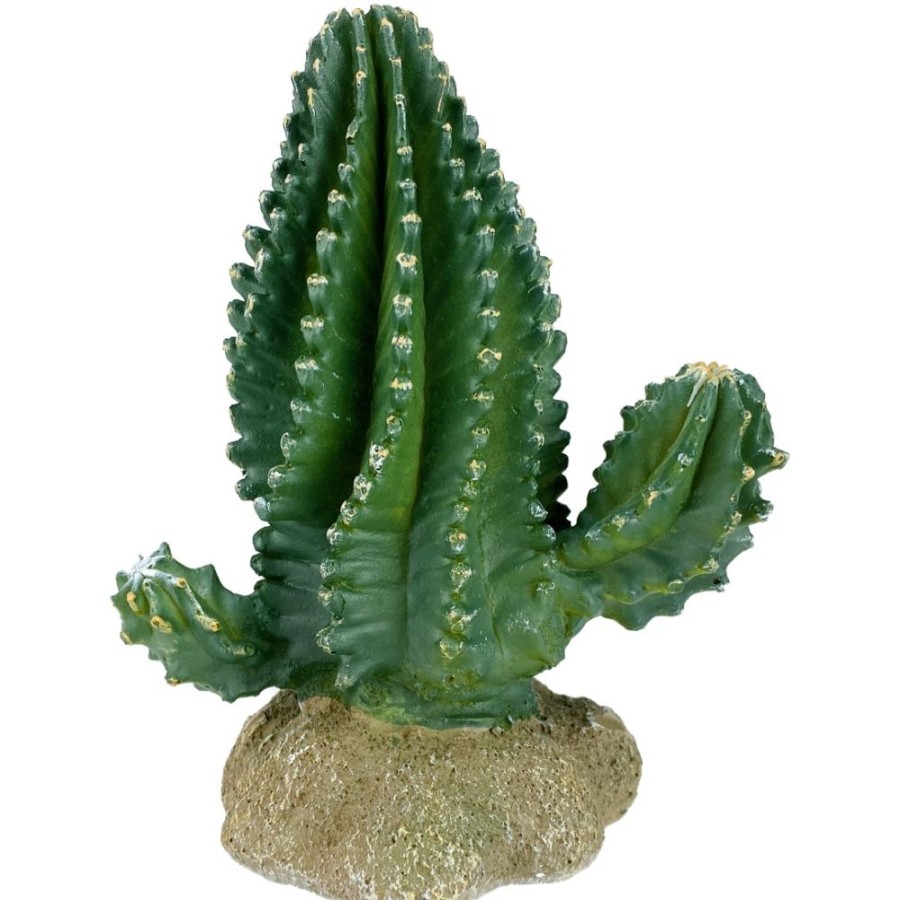 For Cats & Other Critters Komodo | Komodo Columnar Cactus