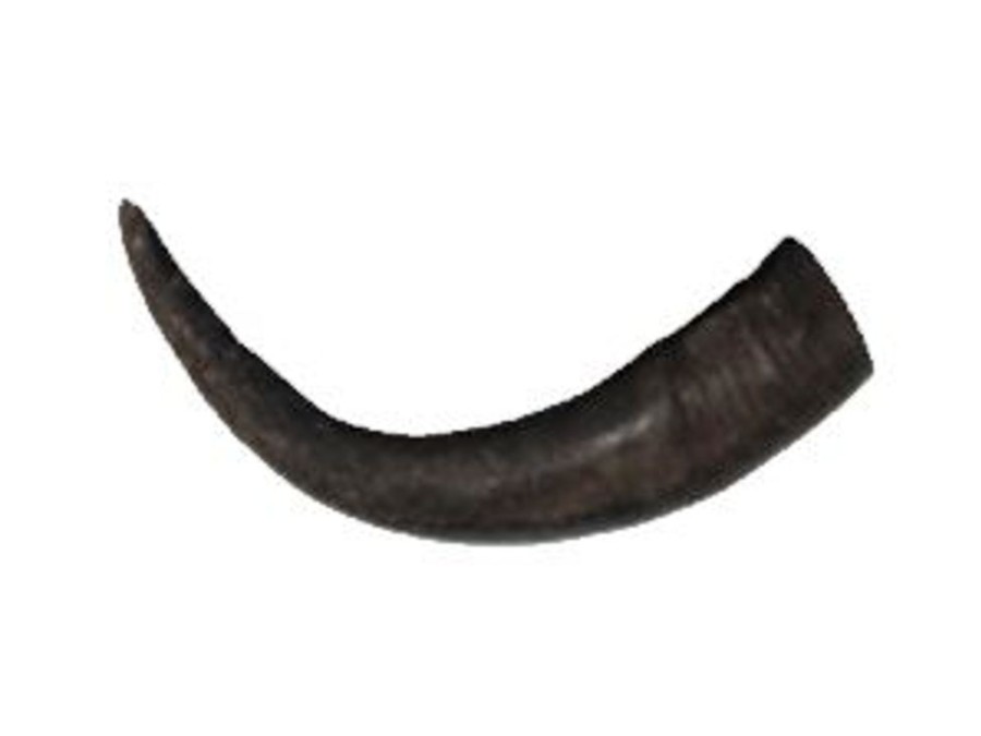 Treats peaksNpaws | Premium Water Buffalo Horns - Medium