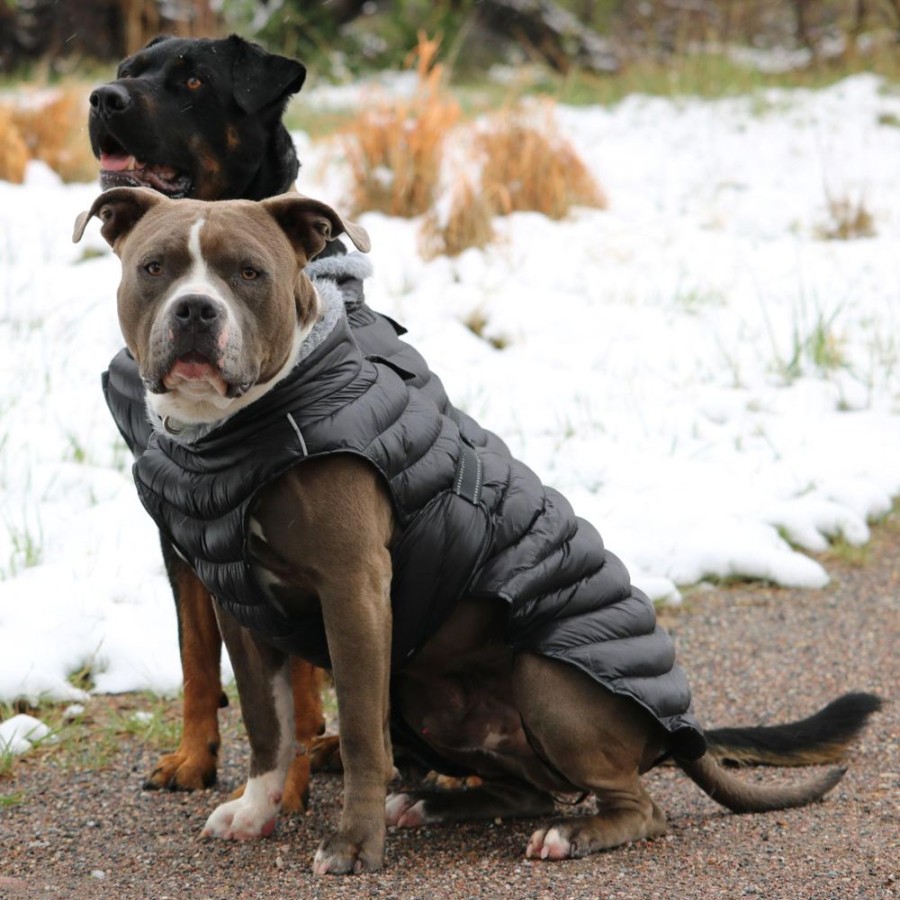 Pet Apparel Doggie Design, Inc. | Alpine Extreme Weather Puffer Coat - Black