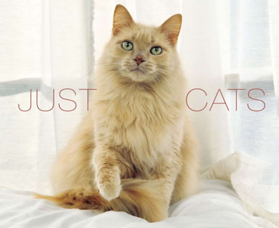 Stuff For Humans Willow Creek Press | Just Cats (Deluxe Edition)