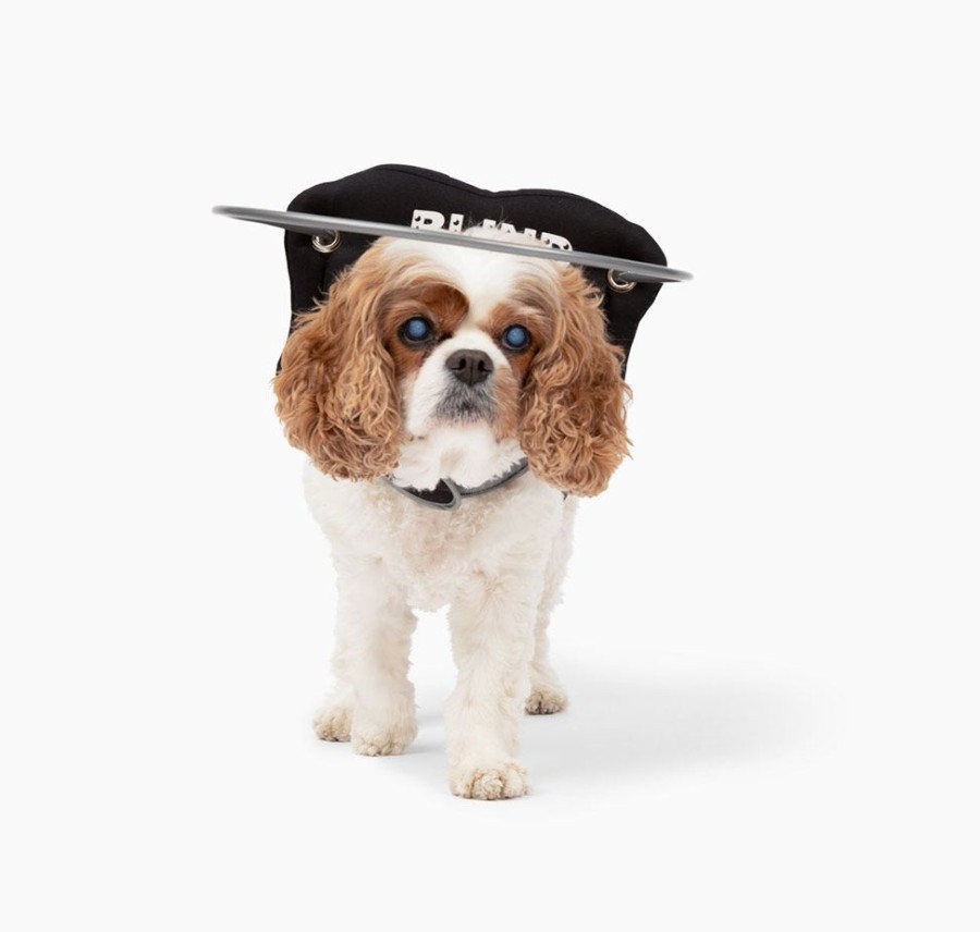 Health & Safety Muffin’s Halo | Muffin'S Halo Blind Dog Guide - Black Braille