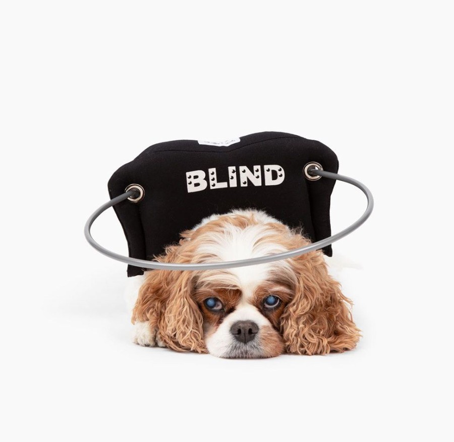 Health & Safety Muffin’s Halo | Muffin'S Halo Blind Dog Guide - Black Braille