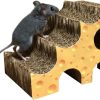 For Cats & Other Critters Imperial Cat | Pay 'N Shapes Tiny Habitat Enhancer Cheese