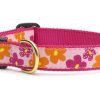 Collars, Leads & Accessories Up Country™ | Flower Power