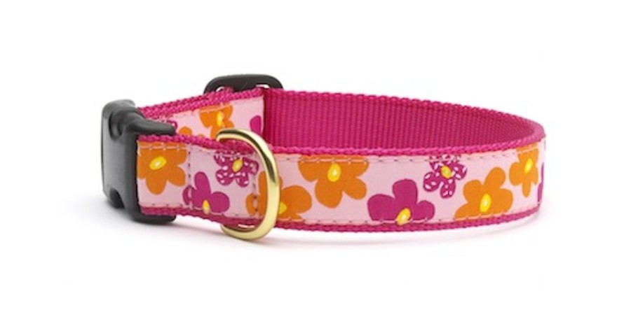 Collars, Leads & Accessories Up Country™ | Flower Power