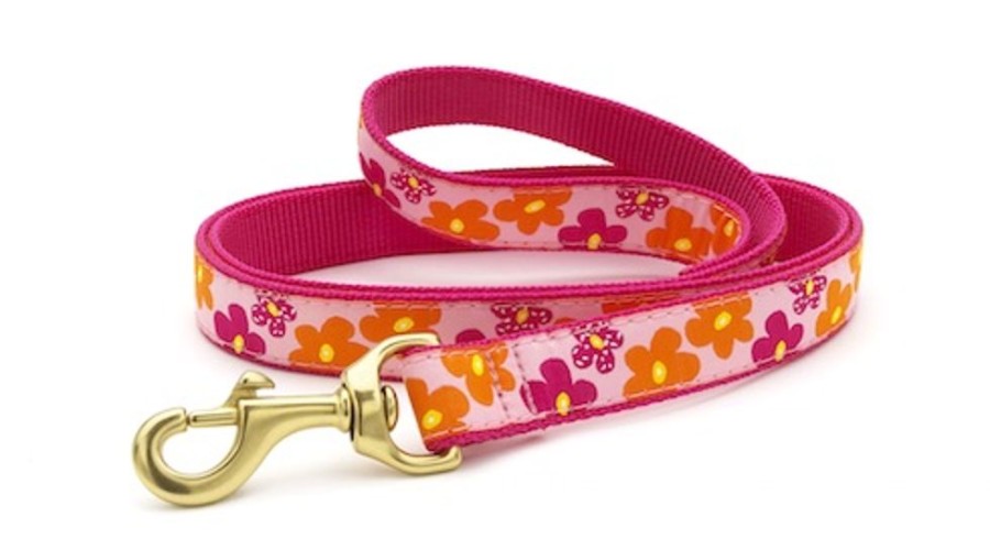 Collars, Leads & Accessories Up Country™ | Flower Power