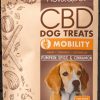 Treats HolistaPet | Holistapet Cbd Dog Treats Mobility Formula 5Mg And 10Mg Per Treat - Pumpkin Spice