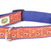 Collars, Leads & Accessories earthdog | Demeter Collection