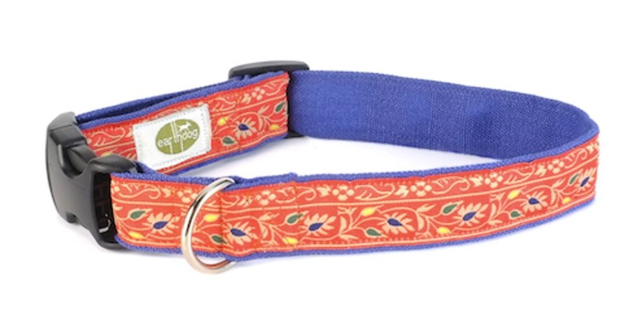 Collars, Leads & Accessories earthdog | Demeter Collection