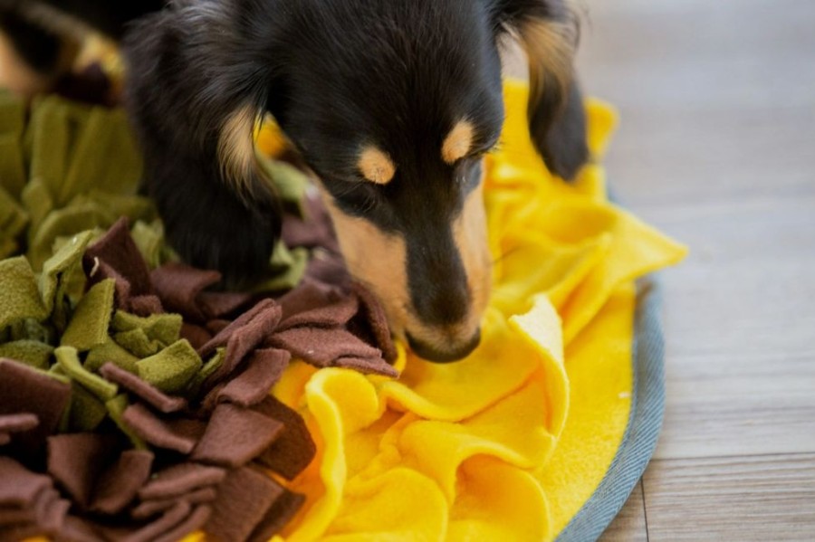 Bowls & Feeding Supplies Injoya | Sunflower Snuffle Mat