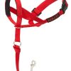 Training HALTI | Halti Headcollar