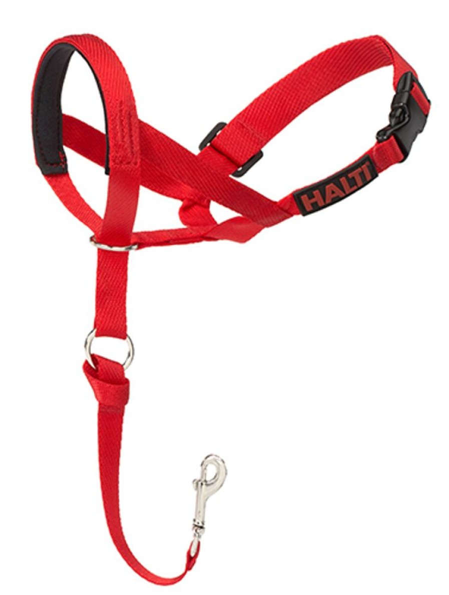 Training HALTI | Halti Headcollar