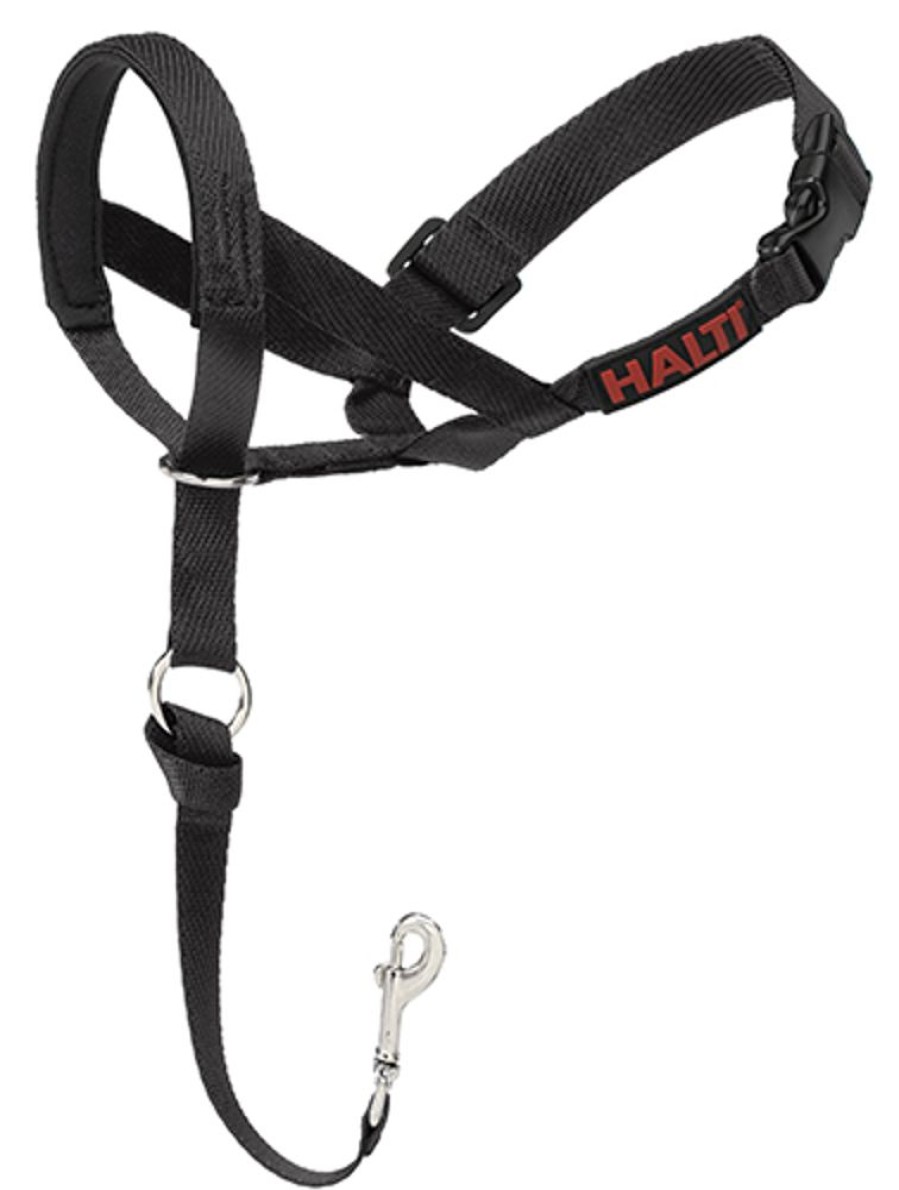 Training HALTI | Halti Headcollar