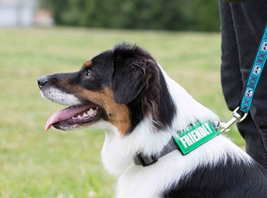 Health & Safety Canine Friendly | Bark Notes-Friendly-Green