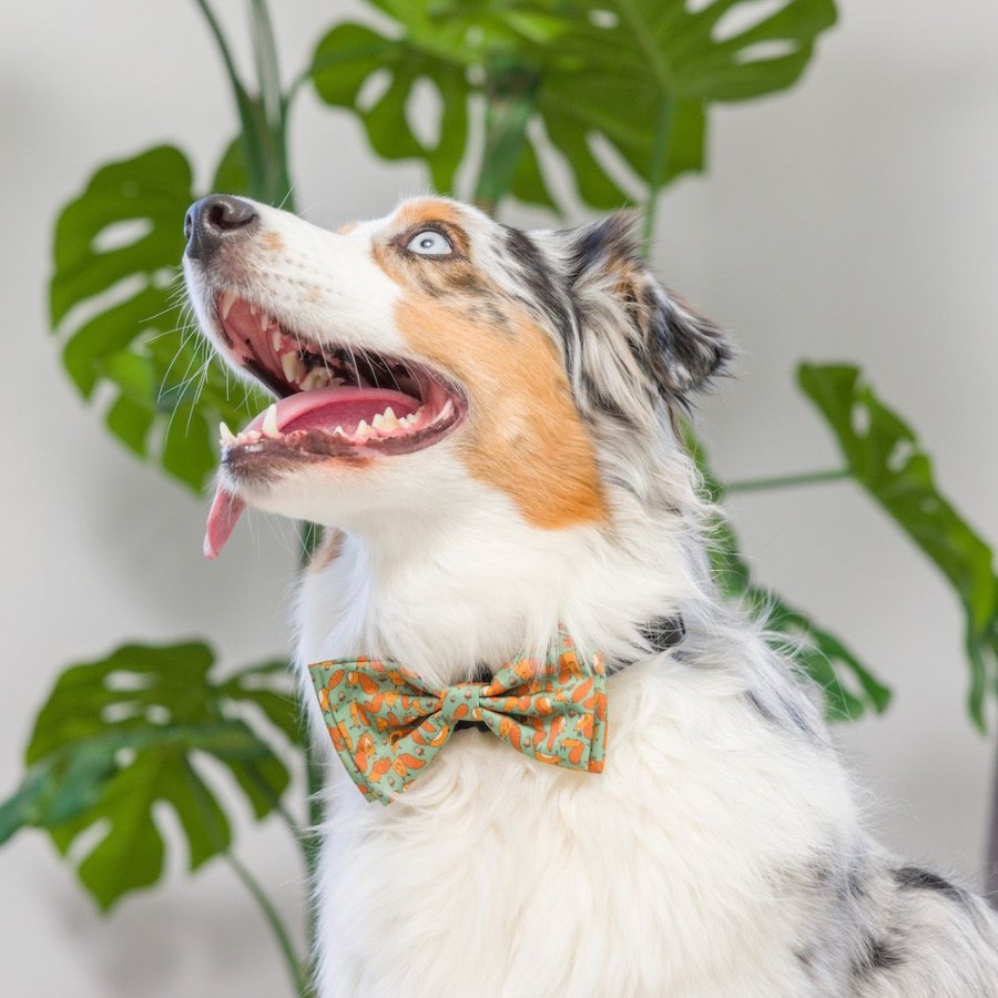 Special Occasion & Holiday Huxley & Kent® | Silly Squirrels Bow Tie