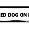 For The Home Imagine This Company | Spoiled Dog On Board Bone Magnets