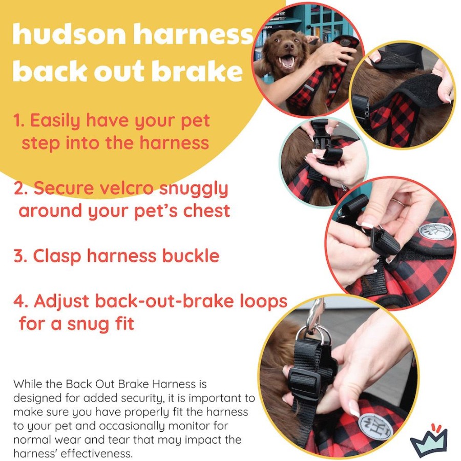 Harnesses Huxley & Kent® | Printed Hudson Back Out Brake Harness