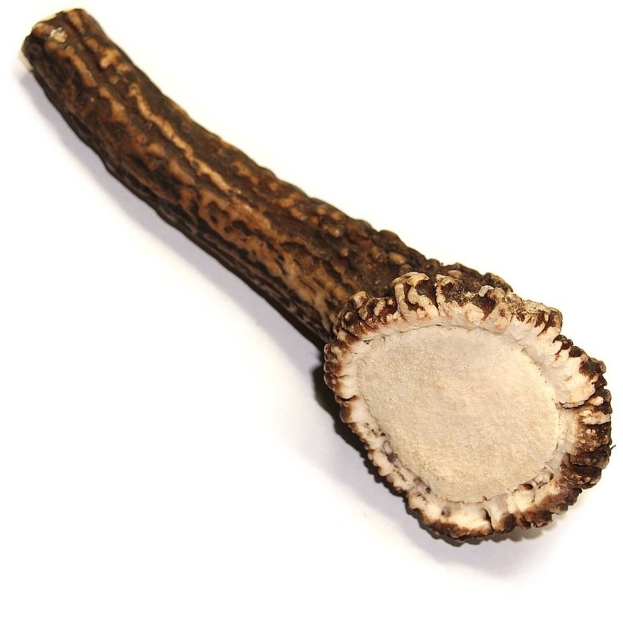 Treats Tuesday's Natural Dog Company | Royal Brown Deer Antler - Whole Large