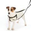 Training 2 Hounds Design | 5/8" Patented Freedom No-Pull Harness Deluxe Training Package (14-35 Lbs)