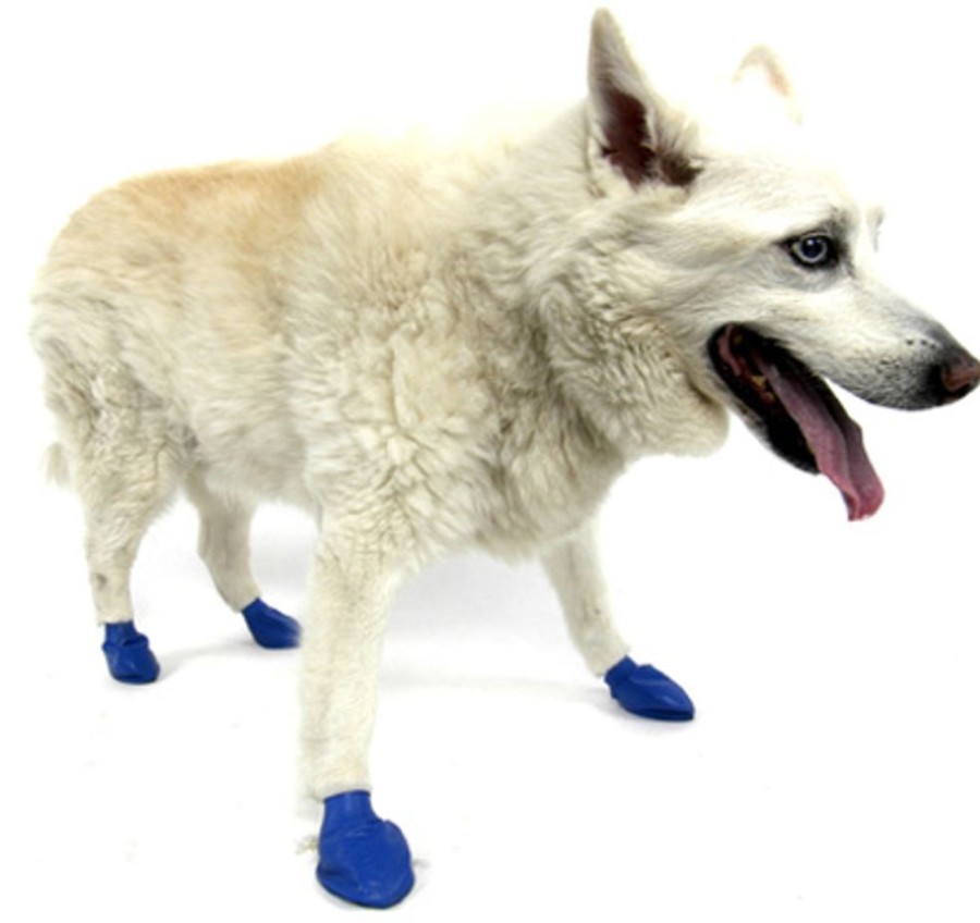 Pet Apparel PawZ Dog Boots | Pawz - Blue - Medium - Up To 3"