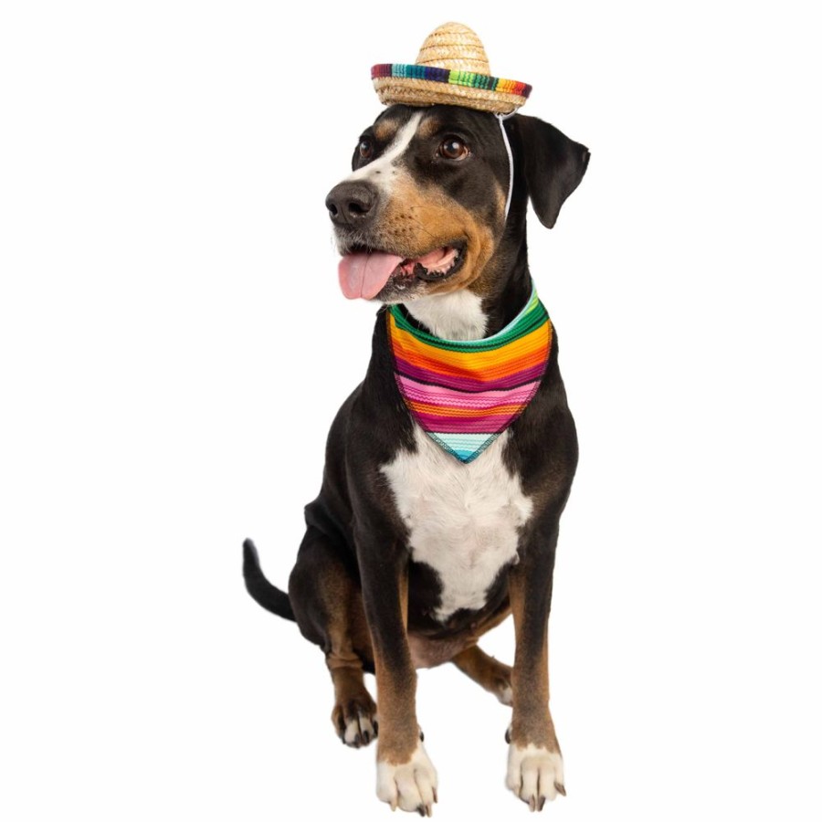 Pet Apparel (Continued) Pet Krewe | Serape Dog Costume