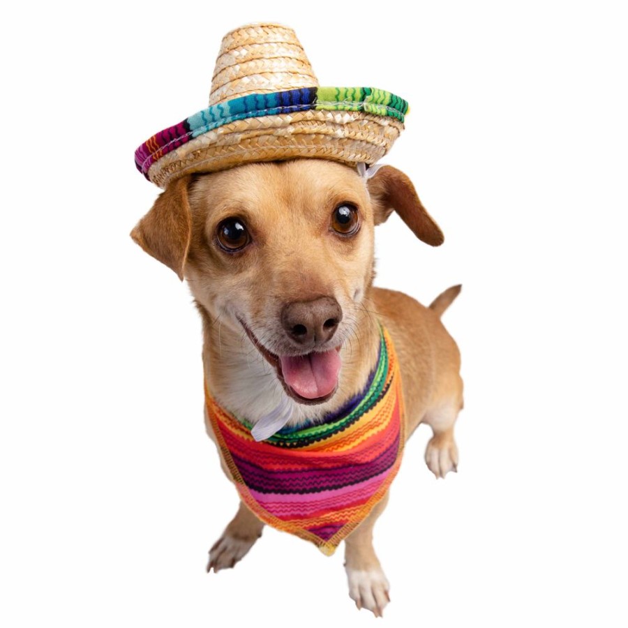 Pet Apparel (Continued) Pet Krewe | Serape Dog Costume