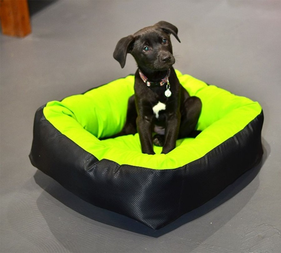 Beds, Crates, Etc. Cycle Dog | Waterproof Barrier Nestle Dog Bed