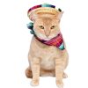 Pet Apparel (Continued) Pet Krewe | Sombrero & Serape Cat Costume