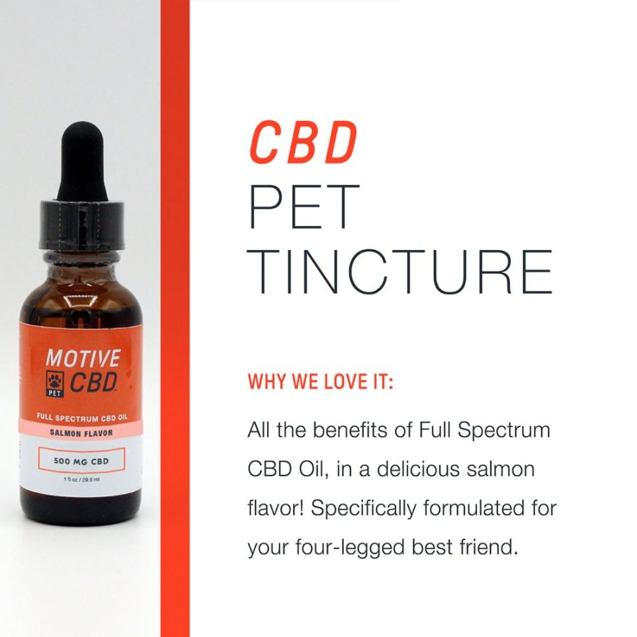 Health & Safety Motive CBD Pet | Full Spectrum Cbd Oil For Pets 500Mg Salmon Flavor, 29.5Ml Bottle