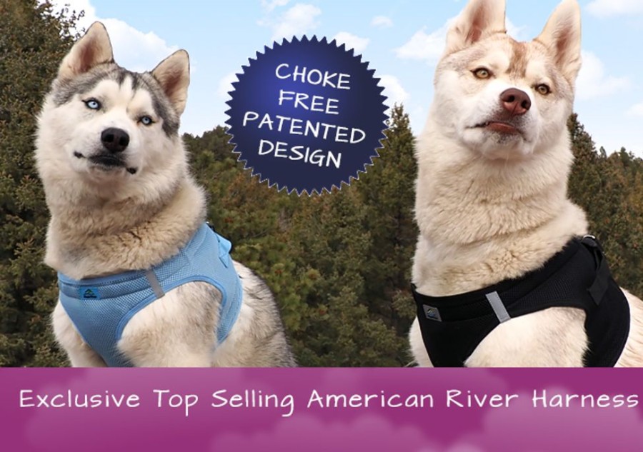 Harnesses Doggie Design, Inc. | American River Ultra Choke Free Soft Mesh Dog Harness