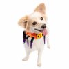 Pet Apparel (Continued) Pet Krewe | Spider Collar