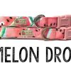 Collars, Leads & Accessories Very Vintage Designs | Melon Drop Light Pink Summer Watermelon Organic Cotton Dog & Cat Pet Collars & Leashes