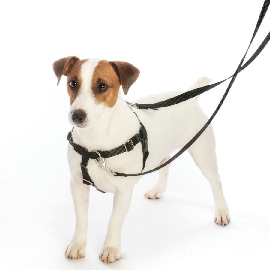 Training 2 Hounds Design | 5/8" Patented Freedom No-Pull Harness Only (14-50Lbs)