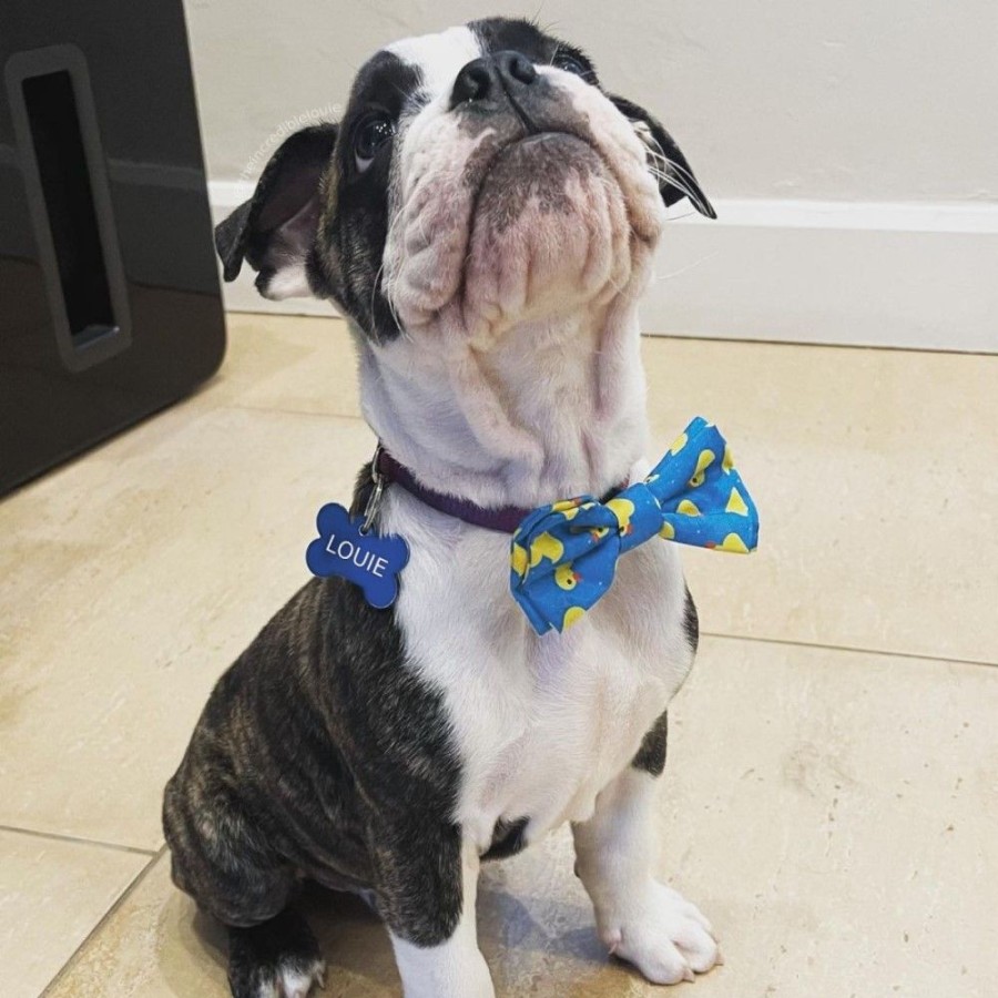 Collars, Leads & Accessories Huxley & Kent® | Lucky Ducky Bow Tie