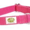 Collars, Leads & Accessories earthdog | Fuchsia Collection