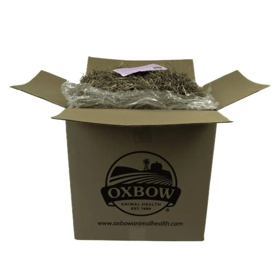 For Cats & Other Critters Oxbow | Oxbow Small Animal Western Timothy 50Lb