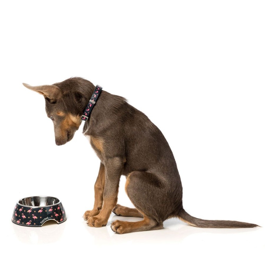 Collars, Leads & Accessories FuzzYard | Fabmingo - Collar And Lead Collection