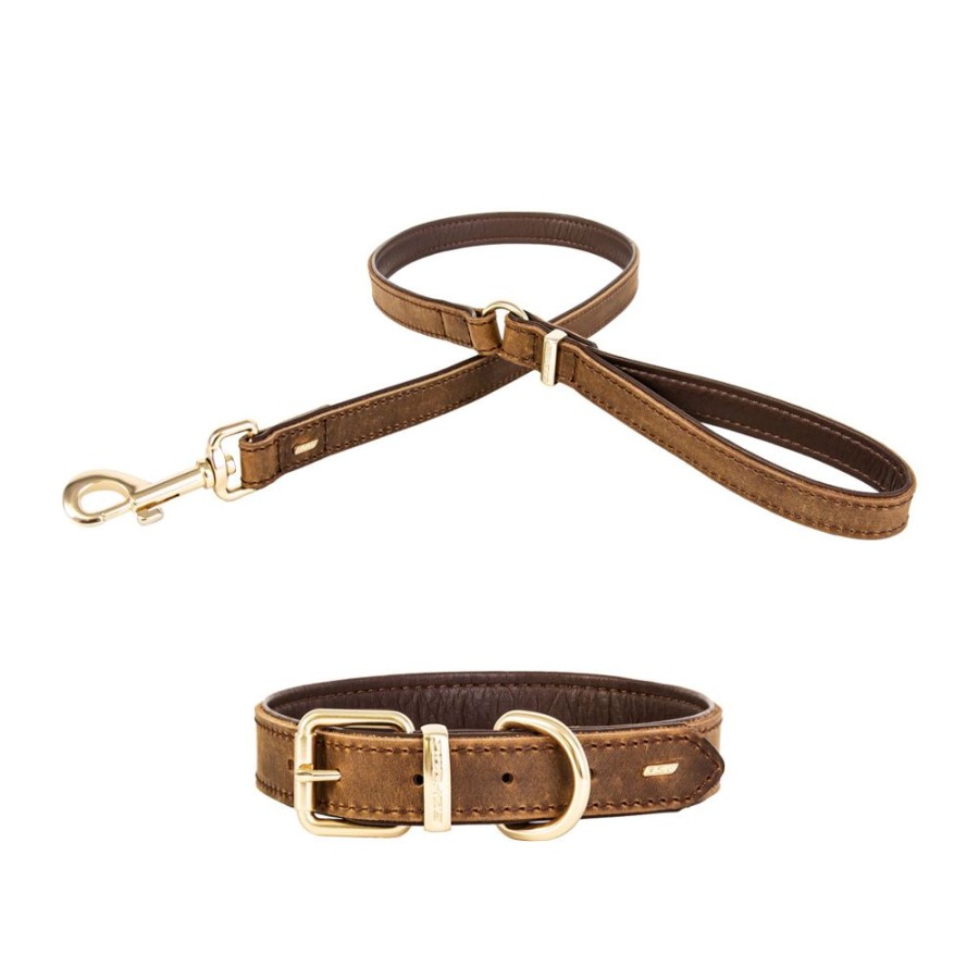 Collars, Leads & Accessories EzyDog, LLC. | Ezydog Oxford Leather Collars And Leashes